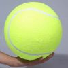 9.5 inch big tennis pet bite toy big inflatable tennis supplies outdoor cricket